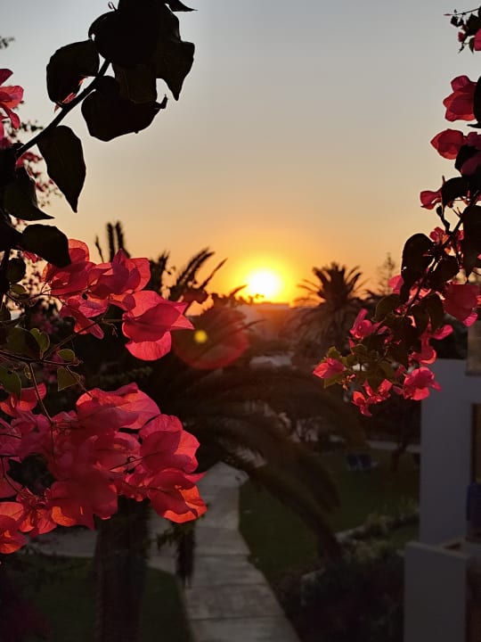 Gartenanlage Anissa Beach & Village