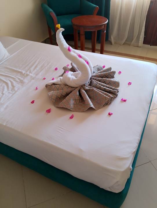 Zimmer Coral Hills Resorts & SPA