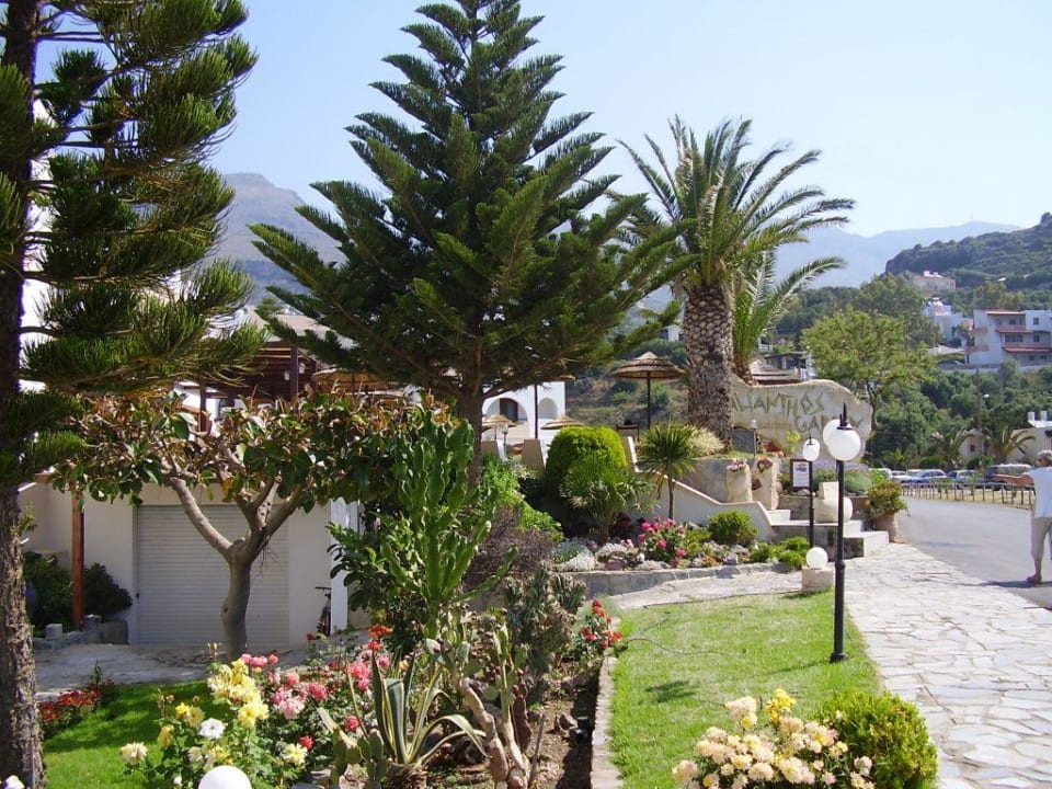 Hotel Alianthos Garden Alianthos Garden Hotel