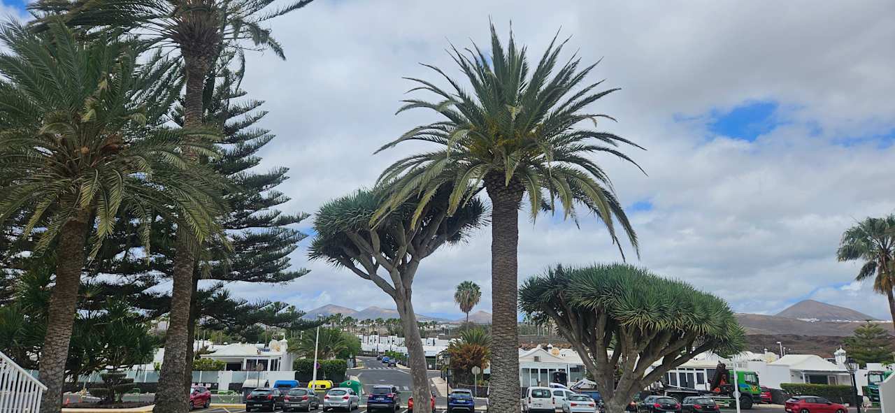 Ausblick Hotel Riu Paraiso Lanzarote