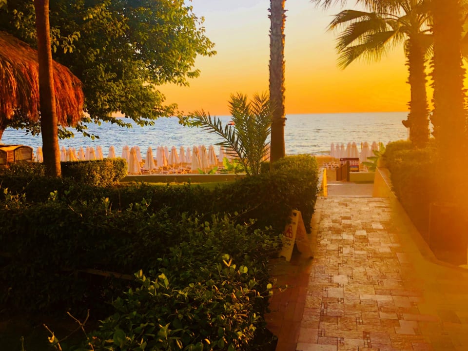 Gartenanlage Hotel Grand Side