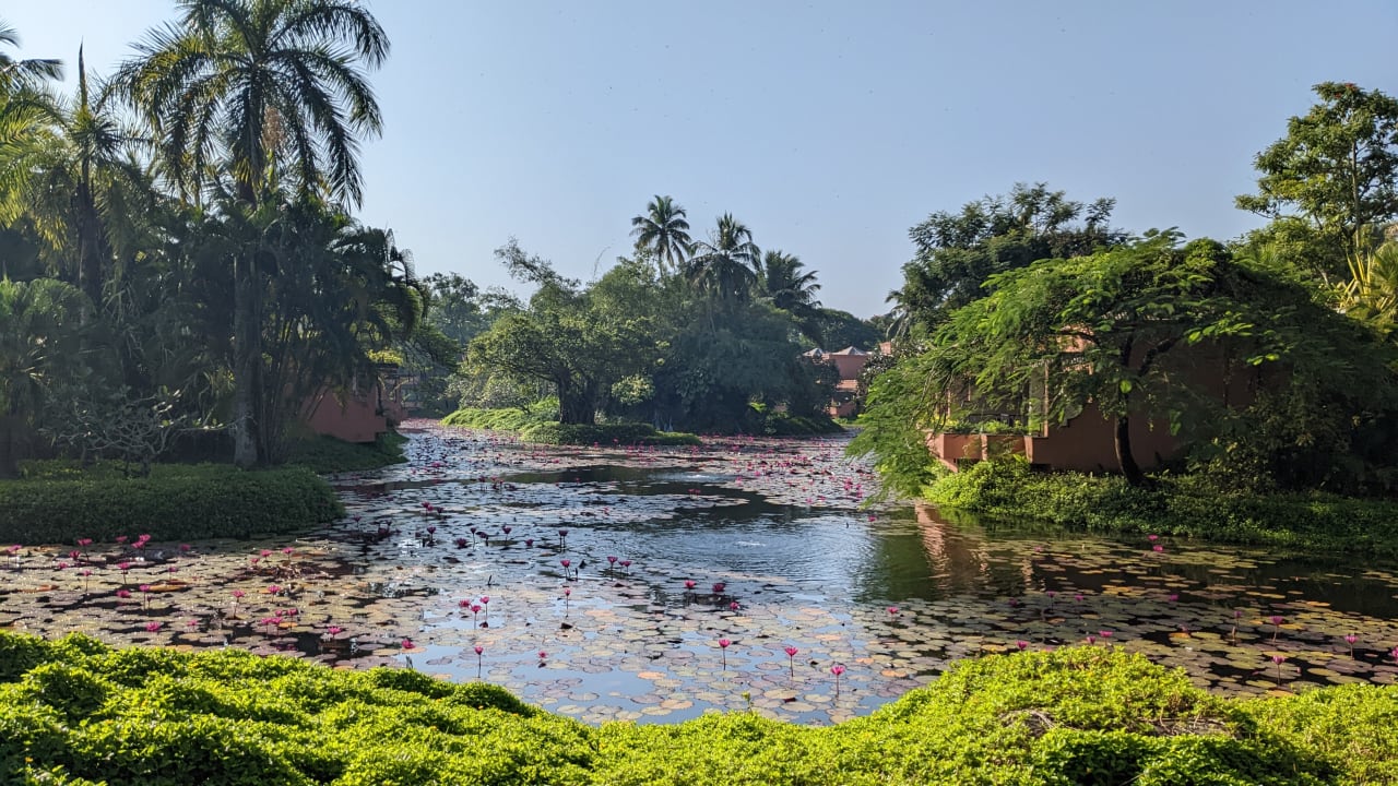Gartenanlage The St. Regis Goa Resort