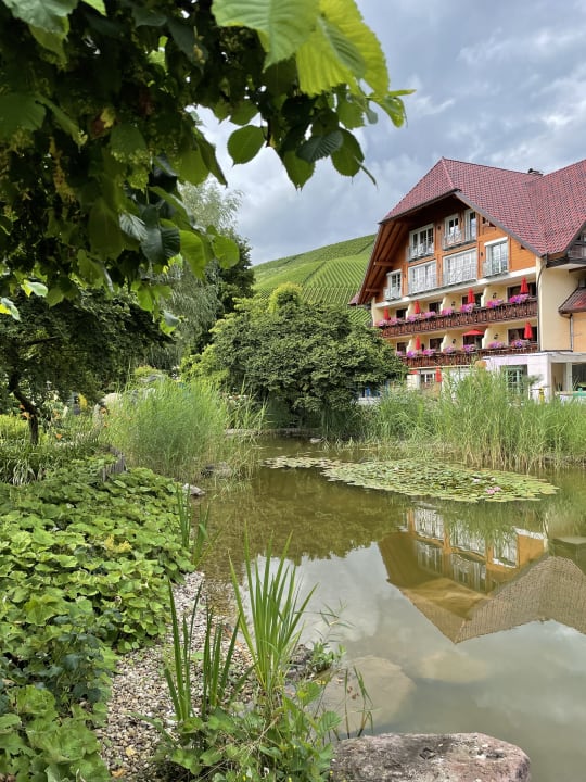 Gartenanlage Hotel Restaurant Rebstock Durbach