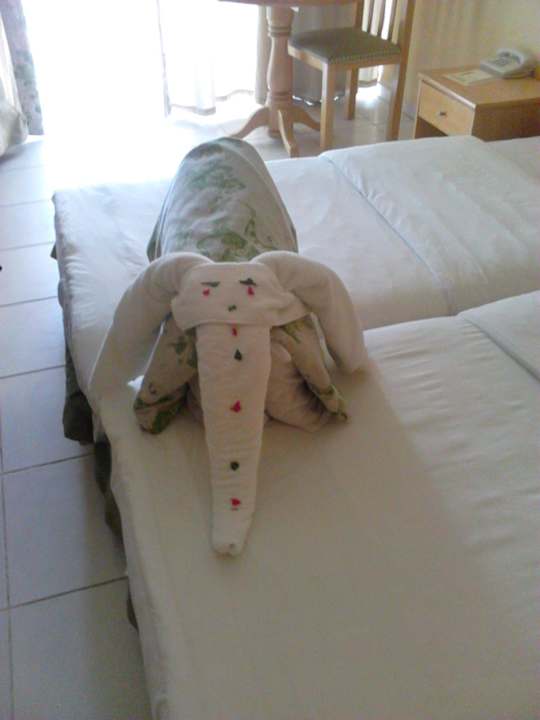 Nett Ghazala Gardens