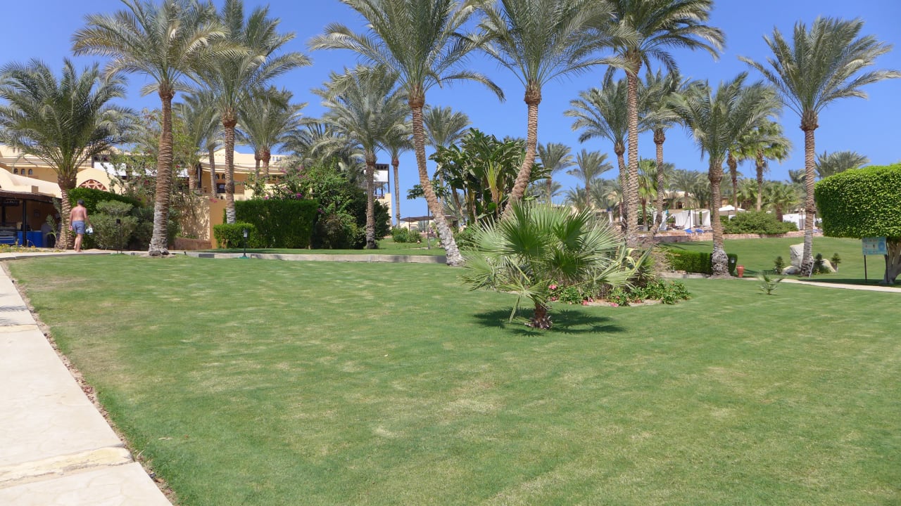 Gartenanlage Steigenberger Coraya Beach - Adults only