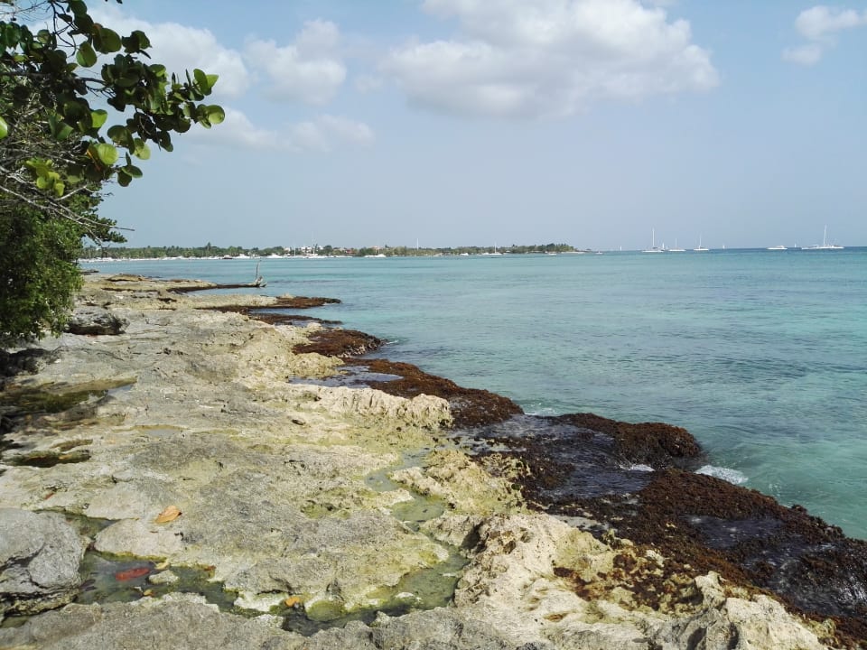 Strand Dreams La Romana Resort & Spa