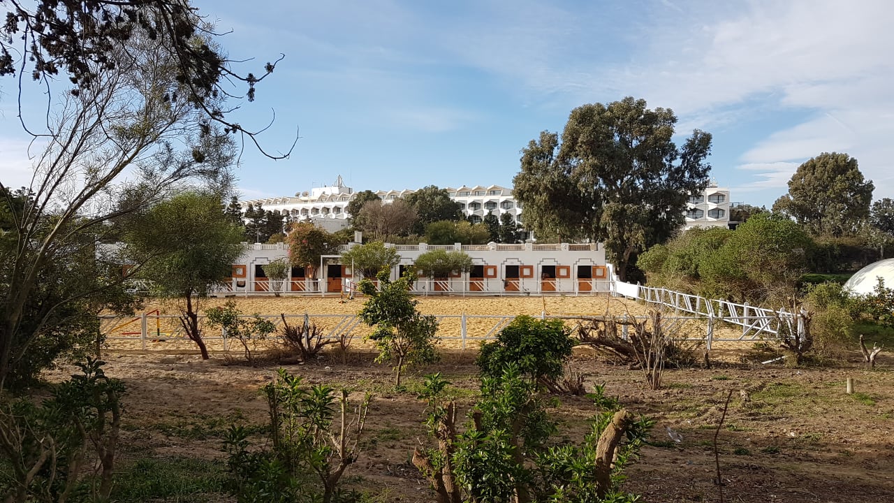 Ausblick The Orangers Beach Resort and Bungalows