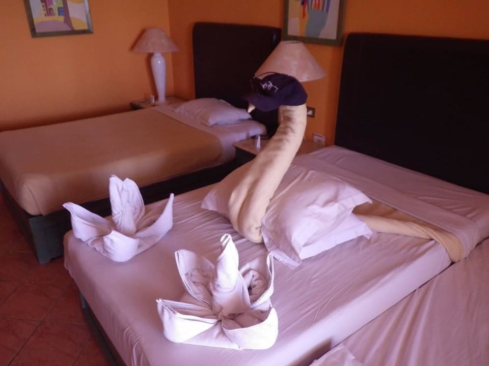 "Der Schwan" Arabia Azur Resort
