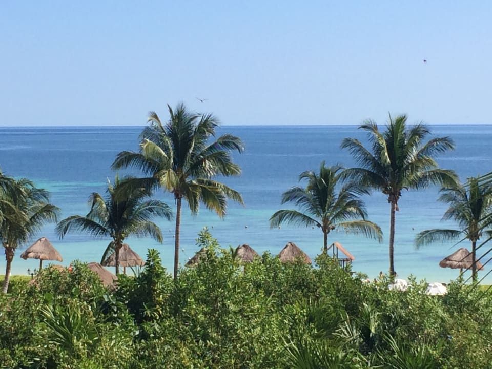 Ausblick Ocean Coral & Turquesa by H10