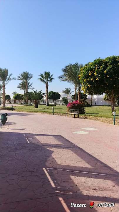 Gartenanlage Desert Rose