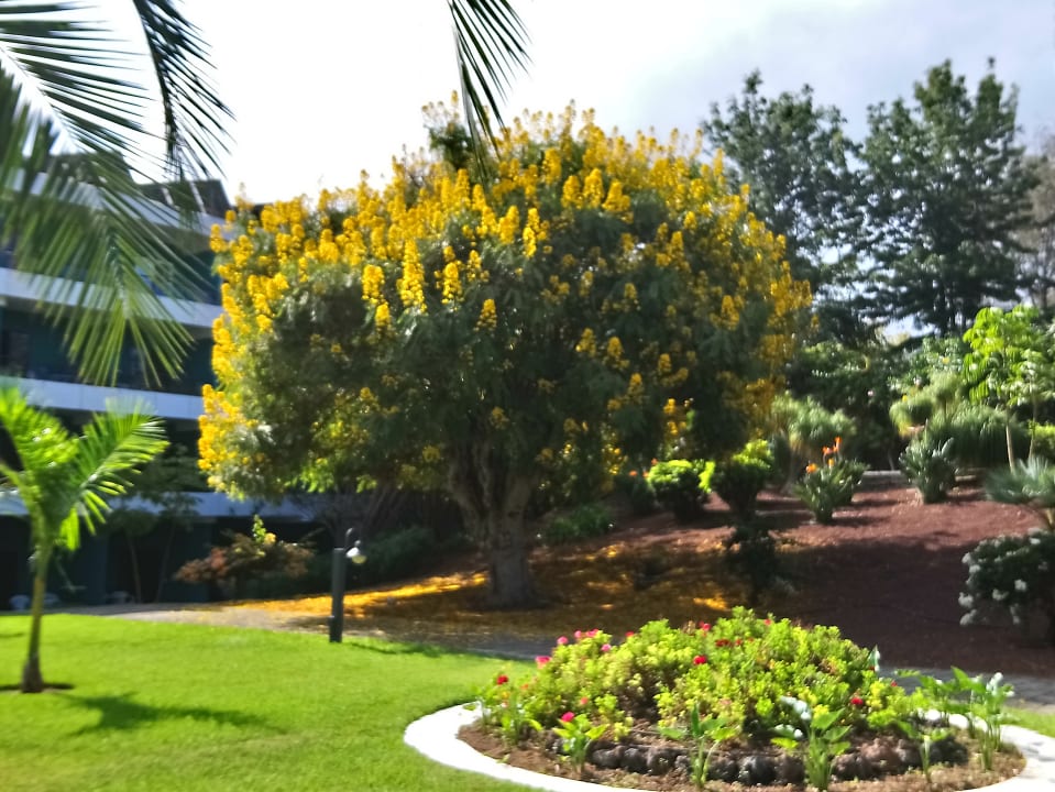 Außenansicht TRH Taoro Garden