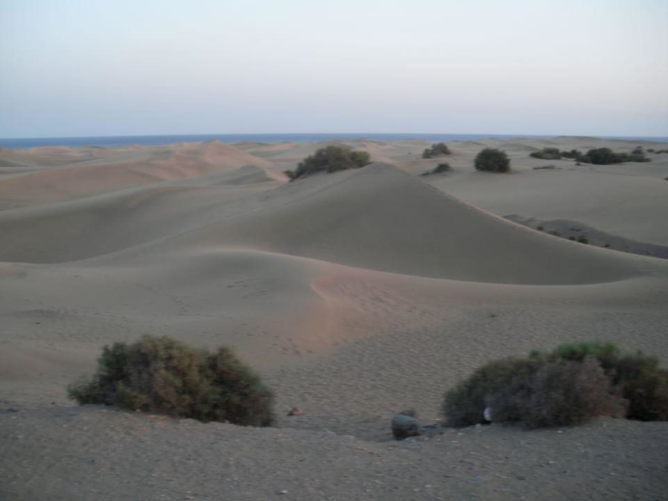 Die Dünen Hotel Riu Palace Maspalomas Adults Only