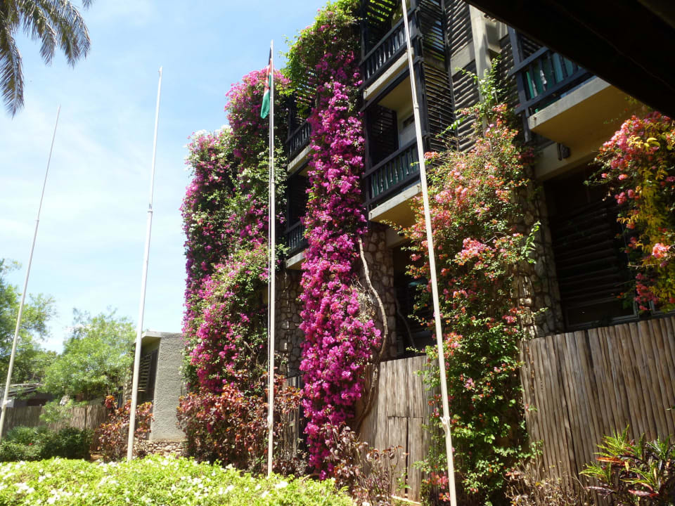 Schöne grüne Fassade Taita Hills Safari Resort & Spa