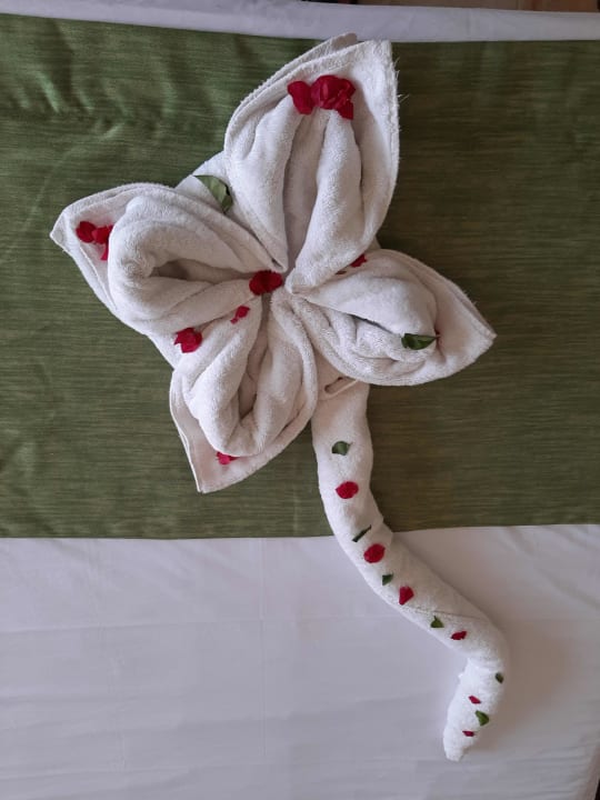 Zimmer Laguna Beach Marsa Resort