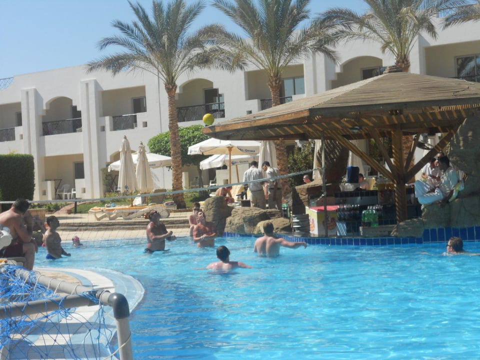 Pool-Bar Xperience St. George Homestay