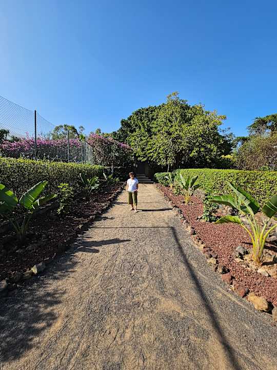 Gartenanlage TRH Taoro Garden