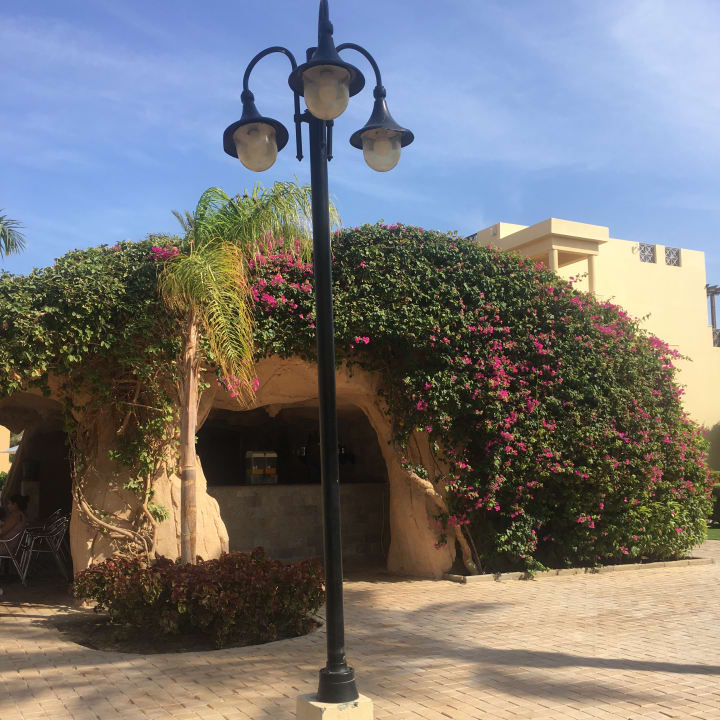 Gartenanlage Stella Garden Resort & Spa, Makadi Bay