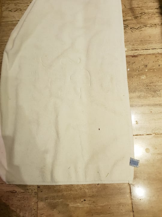 Zimmer TRS Turquesa Hotel - Adults only