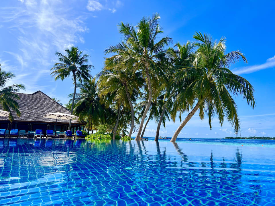 Pool Vilamendhoo Island Resort & Spa