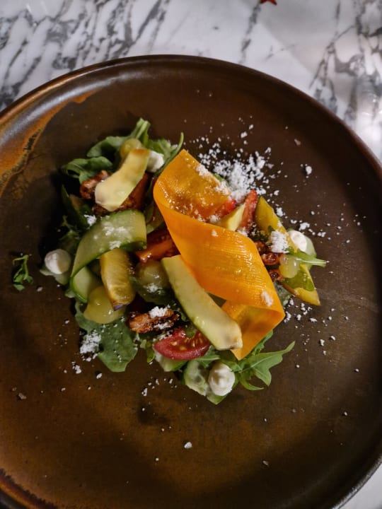 Gastro Acanthus Cennet Barut Collection