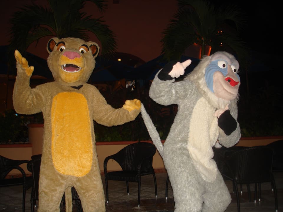 Kurz vor der Walt-Disney-Show. Super Attraktion Sandos Playacar Select Club Adults only - All Inclusive