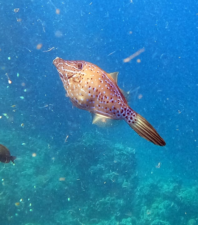 Sport & Freizeit Brayka Bay Resort