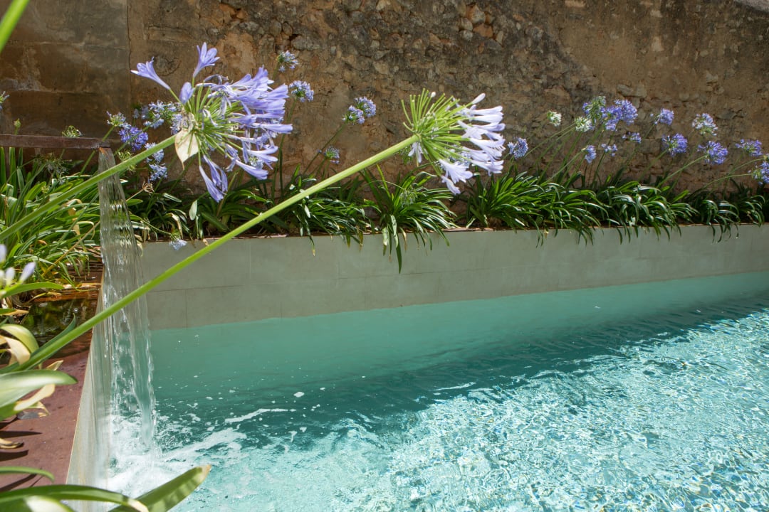 Pool Sa Creu Nova Petit Palais Art & Spa - Adults only