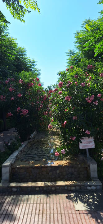 Gartenanlage Can Garden Beach