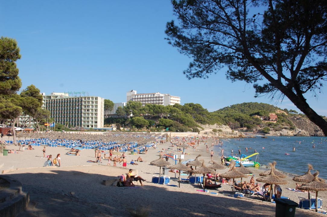 Seeseite mit kleinem Umfeld Hotel Vibra Beverly Playa