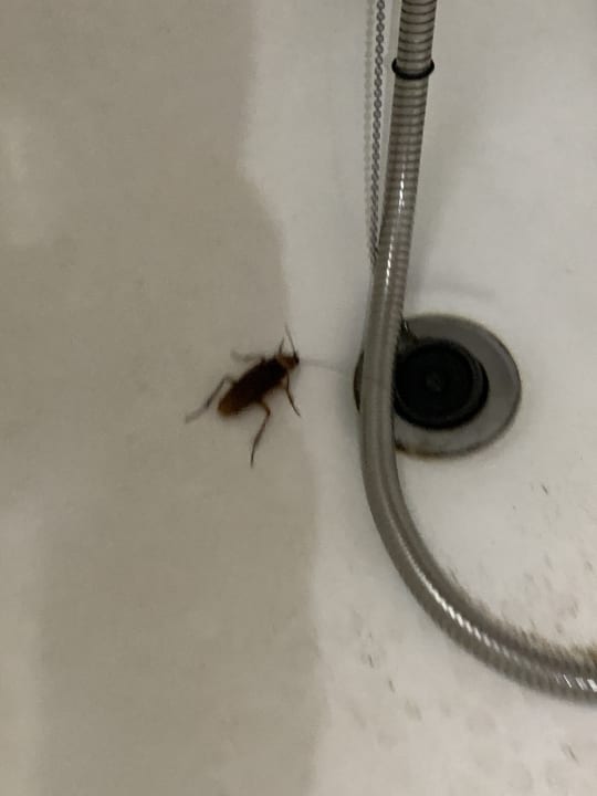 Zimmer IFA Altamarena by Lopesan Hotels