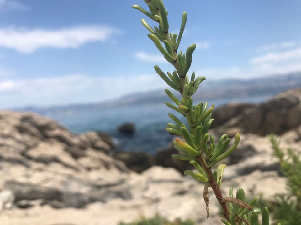 Strand Waterman Svpetrvs  Resort