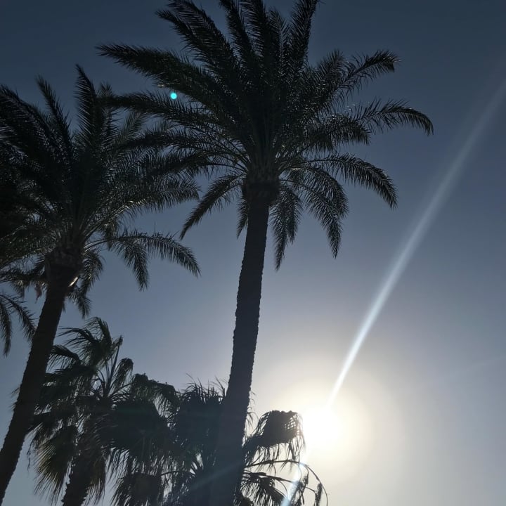 Strand Marriott Hurghada Beach Resort