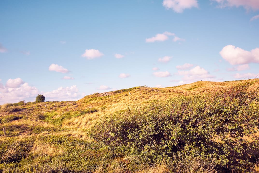 Außenansicht DJH Jugendherberge Langeoog