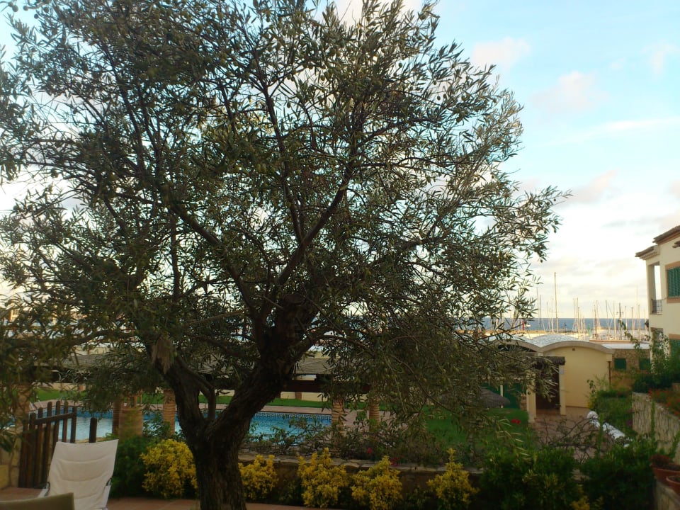 Ausblick vom Schlafraum Casa Ultramarino