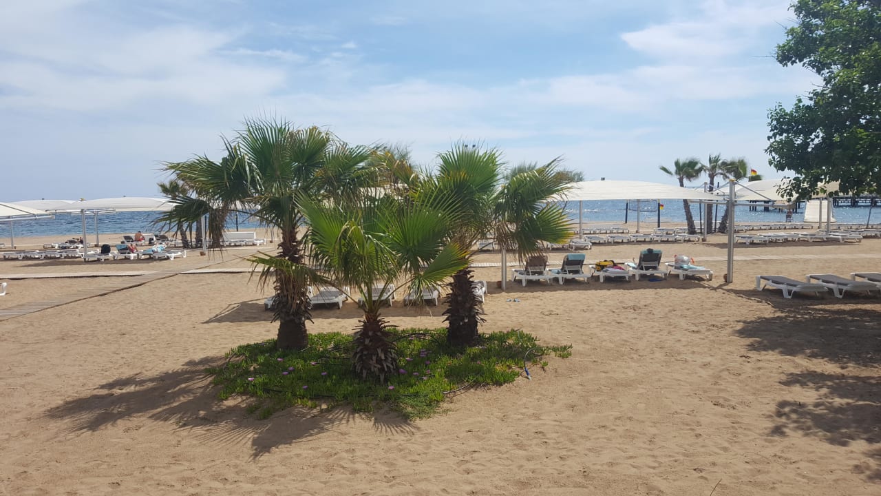 Strand  ROBINSON PAMFILYA
