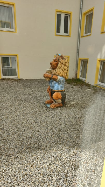 Ausblick Hotel Drei Löwen