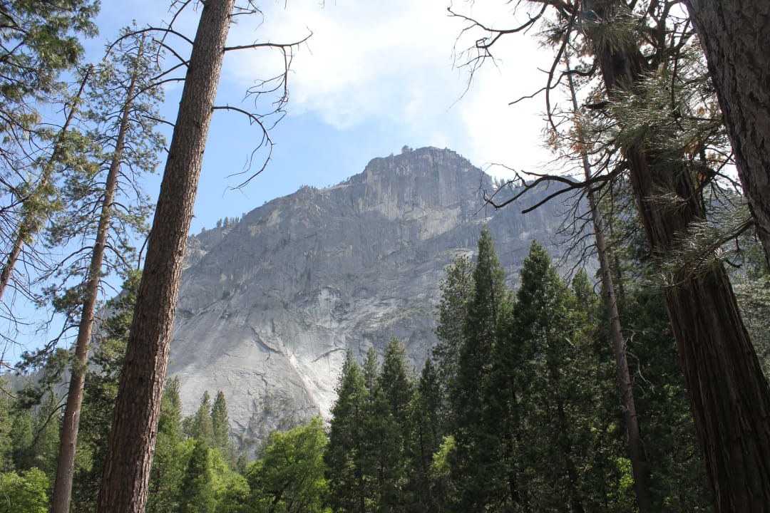 Ausblick North Pines Campground