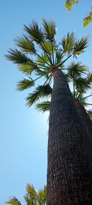 Pool R2 Lago Playa Park