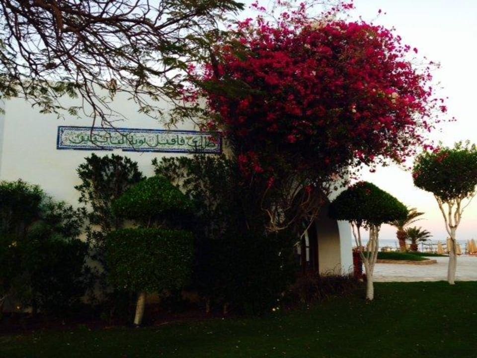 Garden Hotel Mercure Hurghada