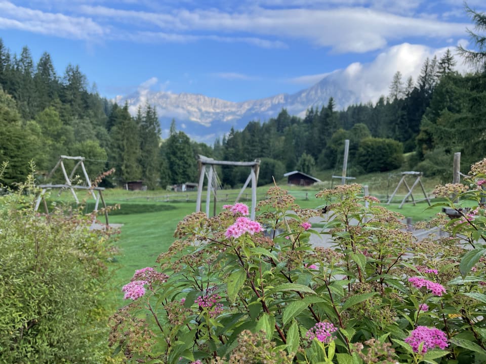 Gartenanlage Landhof Ellmau