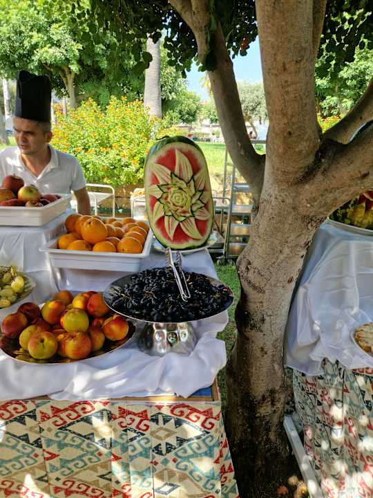 Gartenanlage Hotel Defne Garden
