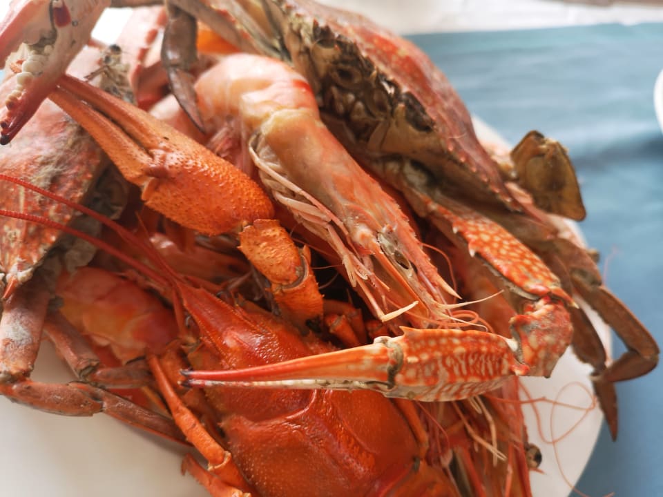 Gastro Well Palace Side