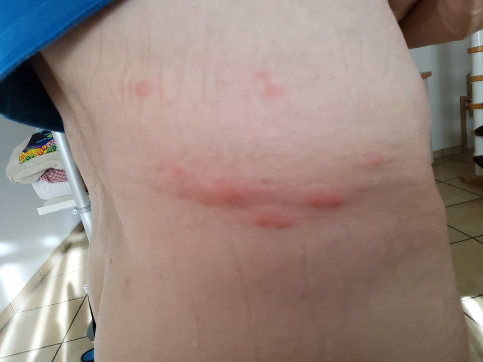 Strand Apartmenthaus Miramare