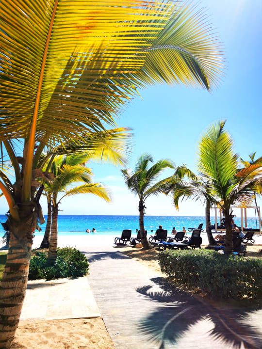 Pool Hotel Viva Dominicus Beach by Wyndham - All Inclusive Resort