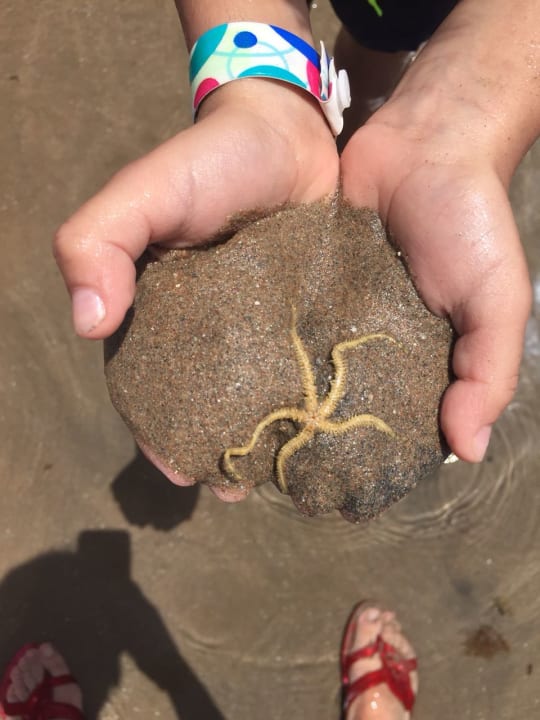 Ideal für Kinder Titanic Beach Spa & Aqua Park