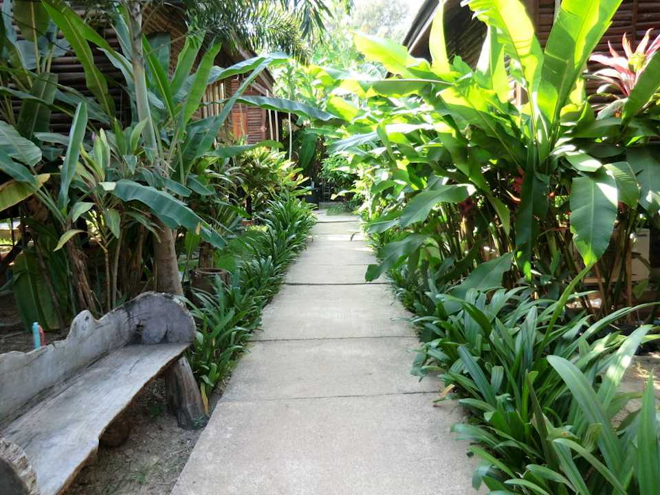 Auf dem Weg zu den Bungalows Banana Garden Home Resort