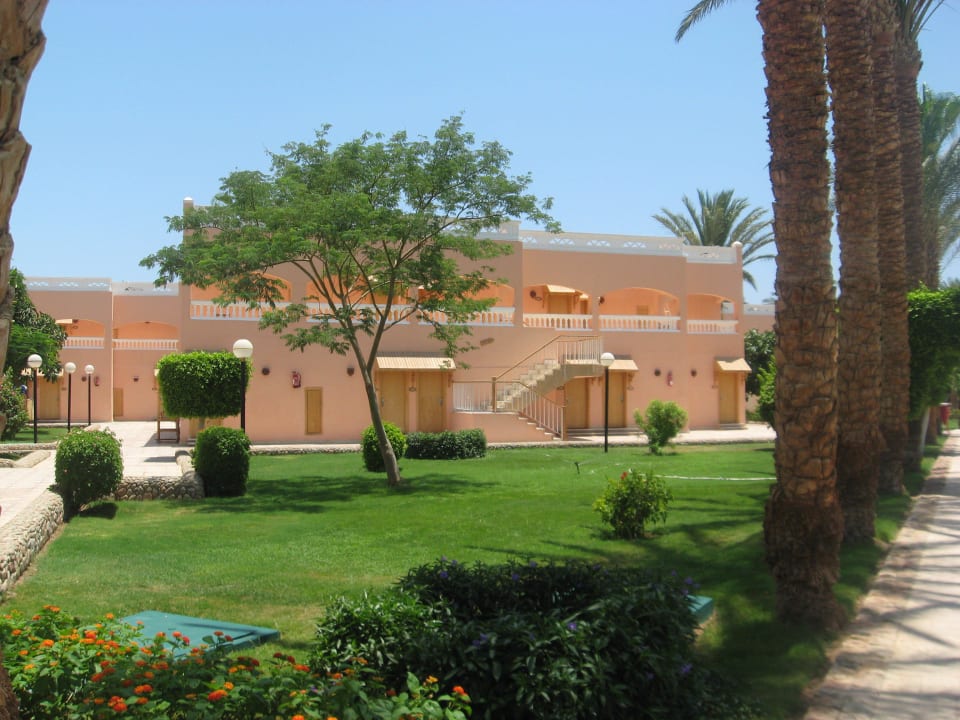 Bungalow von außen Beach Albatros Resort