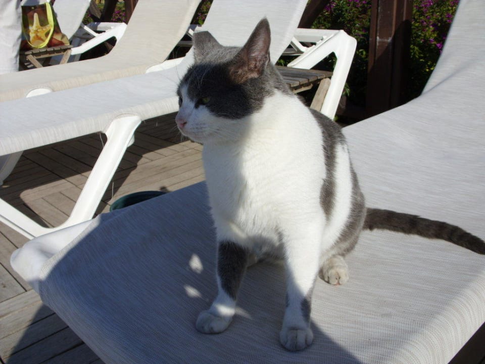 Immer wieder eine nette Begegnung Voyage Belek Golf & Spa