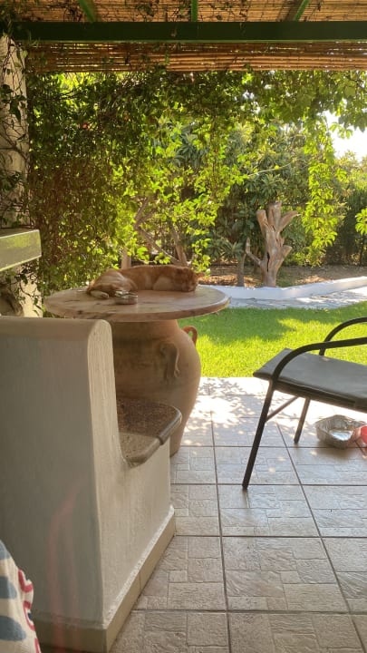 Ausblick Elefteria Apts & Suites