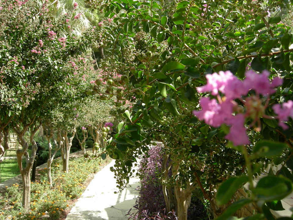 Es blühte überall Melas Holiday Village